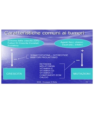 Schema mdb 300x179